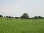 pic_06602.jpg