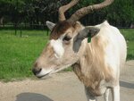 pic_06603.jpg