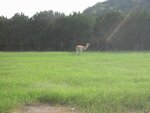 pic_06604.jpg