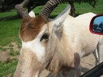 pic_06605.jpg