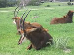 pic_06606.jpg