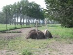 pic_06607.jpg