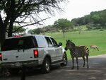 pic_06608.jpg