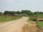 pic_06614.jpg