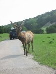pic_06620.jpg