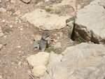 pic_06633.jpg