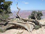 pic_06637.jpg