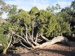 pic_06648.jpg
