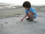 pic_06655.jpg
