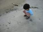 pic_06656.jpg