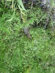 pic_06706.jpg