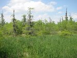 pic_06707.jpg