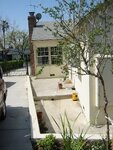 pic_06711.jpg