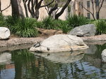 pic_06719.jpg