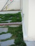 pic_06727.jpg