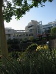 pic_06729.jpg