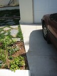 pic_06730.jpg