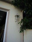 pic_06731.jpg