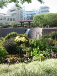 pic_06736.jpg