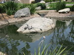 pic_06738.jpg