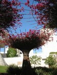 pic_06742.jpg
