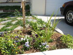 pic_06753.jpg