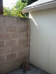 pic_06756.jpg