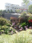 pic_06761.jpg