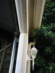 pic_06767.jpg