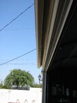 pic_06779.jpg