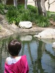 pic_06786.jpg