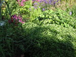 pic_06794.jpg