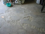 pic_06800.jpg