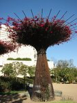 pic_06802.jpg