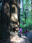 pic_06831.jpg