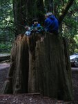 pic_06832.jpg