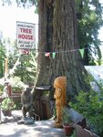 pic_06833.jpg