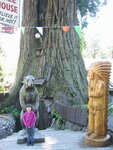pic_06835.jpg