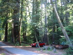 pic_06837.jpg