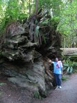 pic_06839.jpg