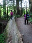 pic_06840.jpg