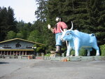 pic_06841.jpg