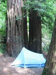 pic_06842.jpg