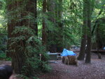 pic_06843.jpg
