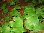 pic_06848.jpg