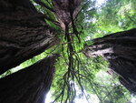 pic_06849.jpg