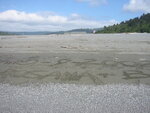 pic_06850.jpg