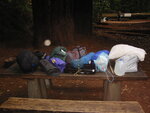 pic_06851.jpg
