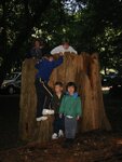 pic_06852.jpg