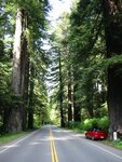 pic_06853.jpg